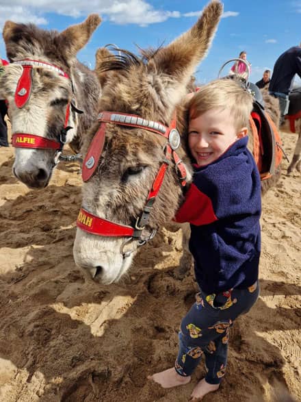 Donkeys at Skegness beach