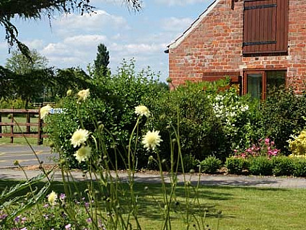 Elms Farm Cottages gardens